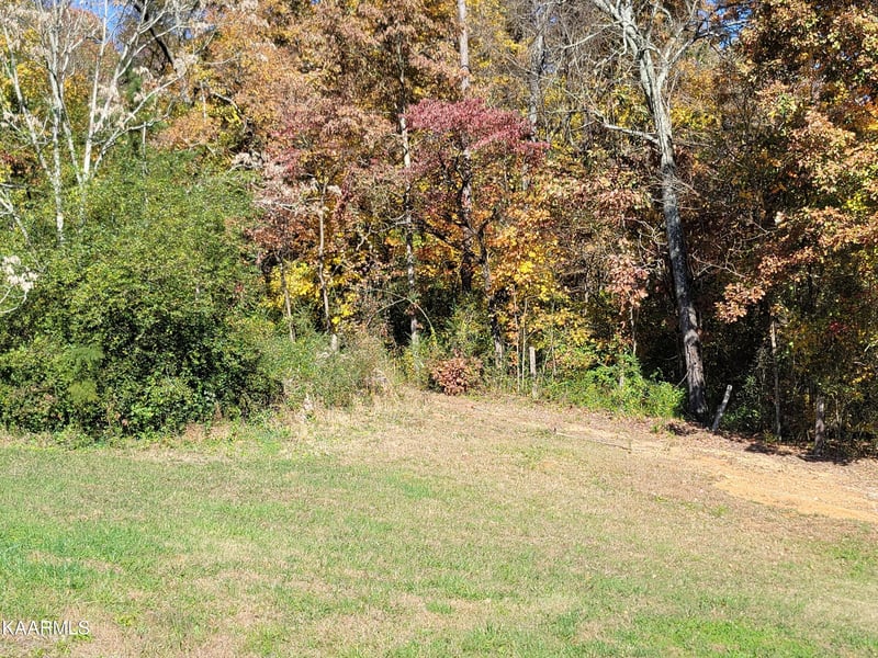 1938 Kim Watt Dr Lot 4R, Knoxville, TN 37909