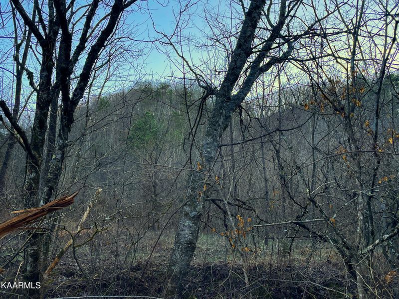 3952 Jones Cove Rd Lot 7, Sevierville, TN 37876