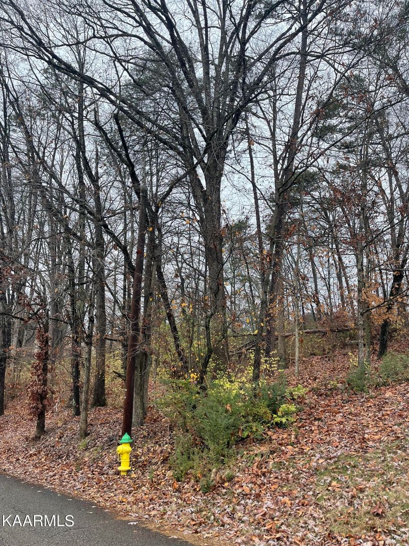 0 Millard Beets Rd Lot 1, Knoxville, TN 37909