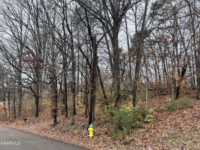 0 Millard Beets Rd Lot 1, Knoxville, TN 37909