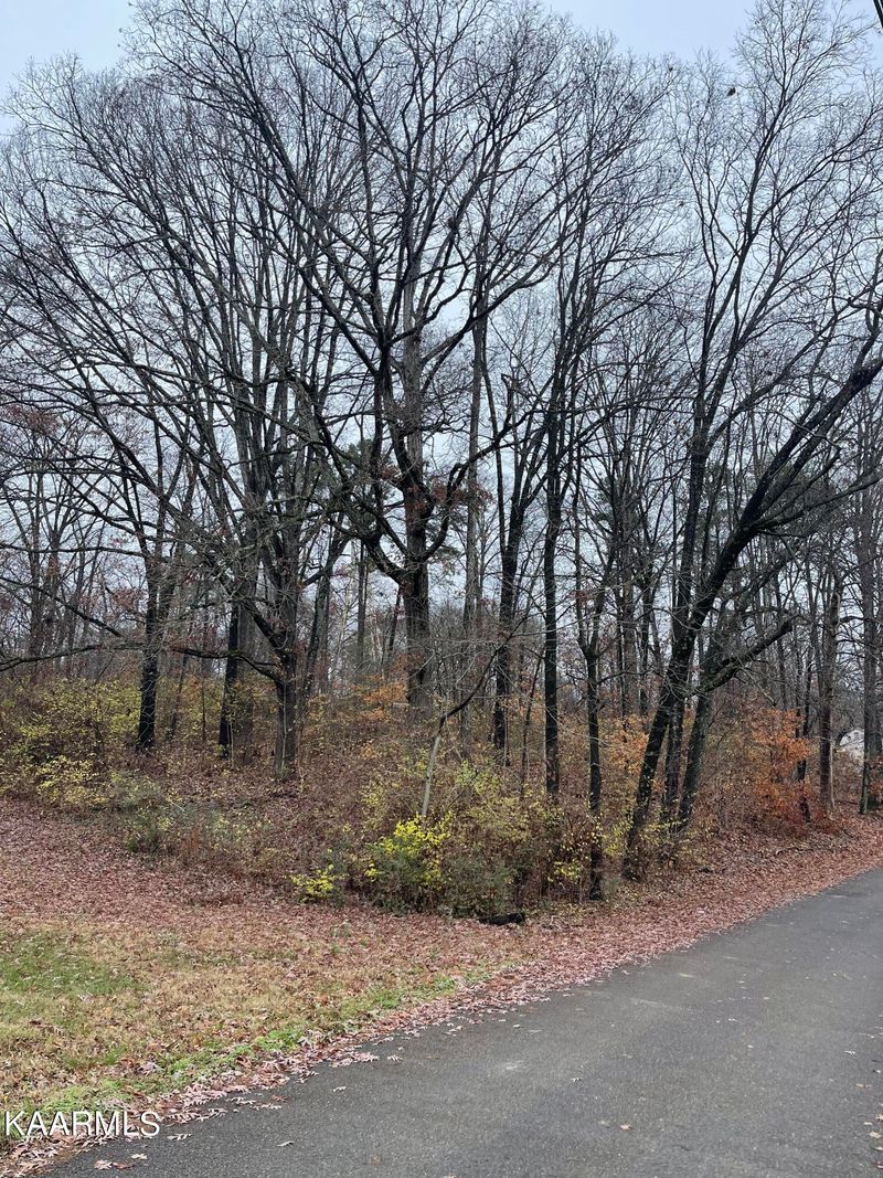 0 Millard Beets Rd Lot 1, Knoxville, TN 37909