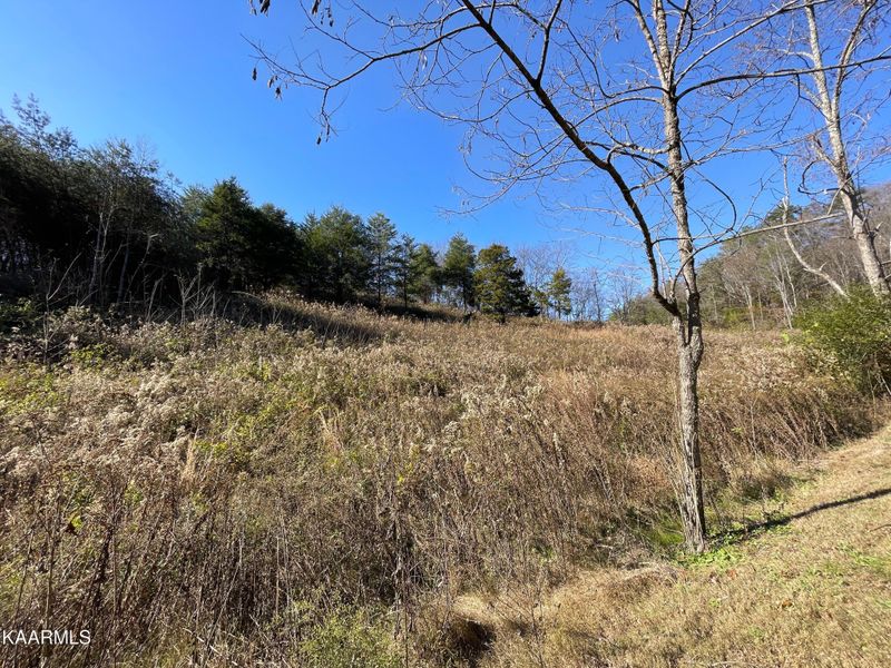1846 Saddle Way Lot 2-3, Sevierville, TN 37876