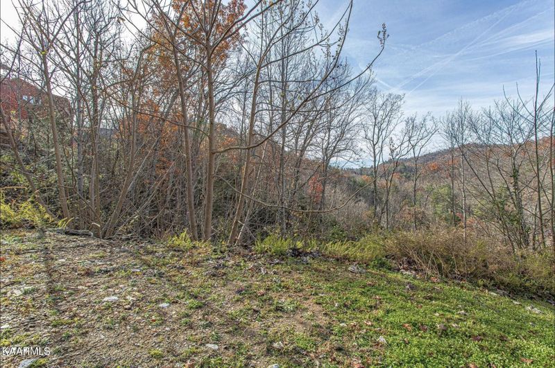 42 Smoky Ridge Way, Sevierville, TN 37862