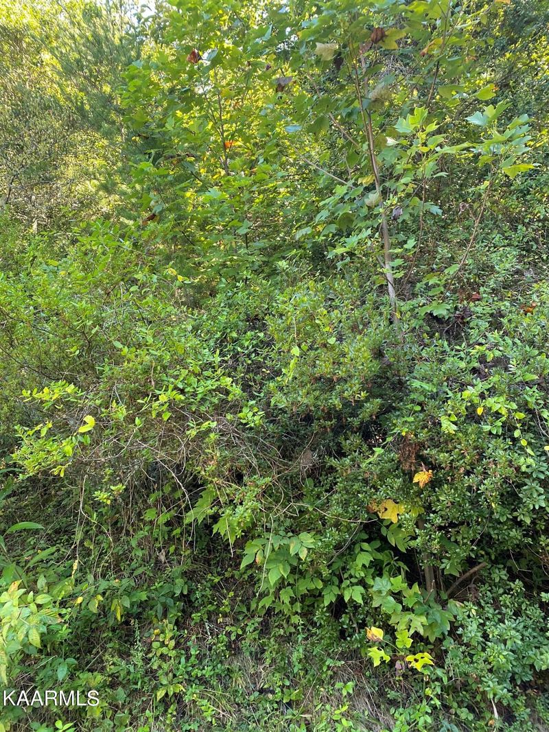 13 Lillie Blvd Lot 13, Sevierville, TN 37876