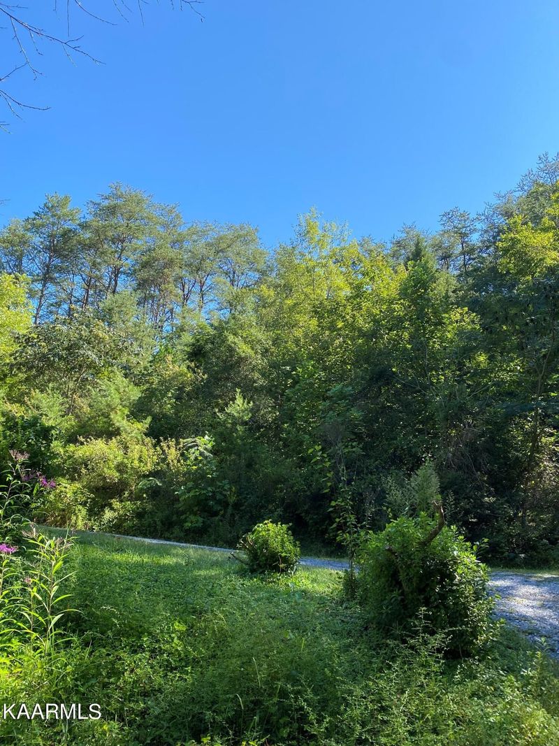 13 Lillie Blvd Lot 13, Sevierville, TN 37876