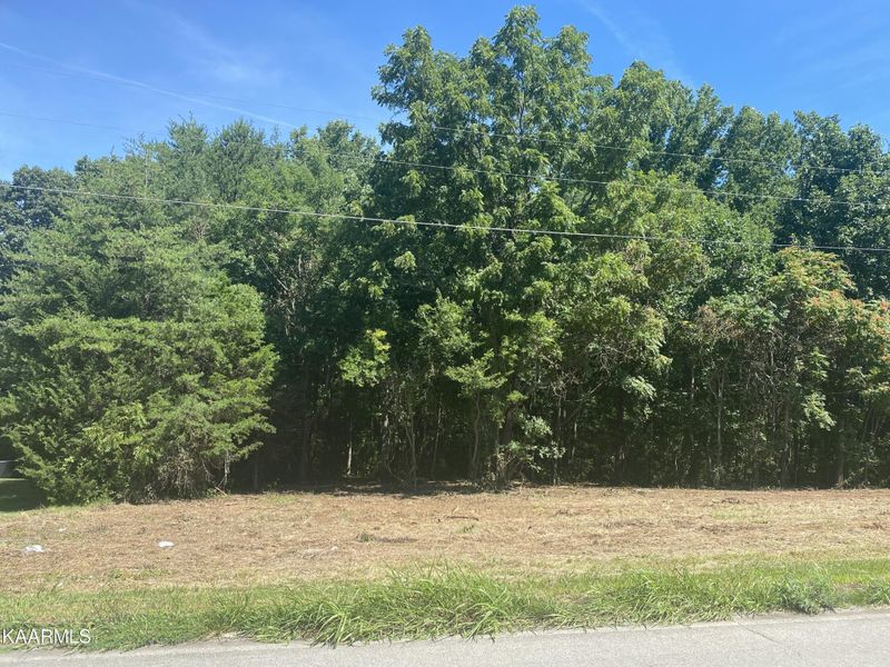 0 Big Springs Rd Lot 8, Maryville, TN 37801