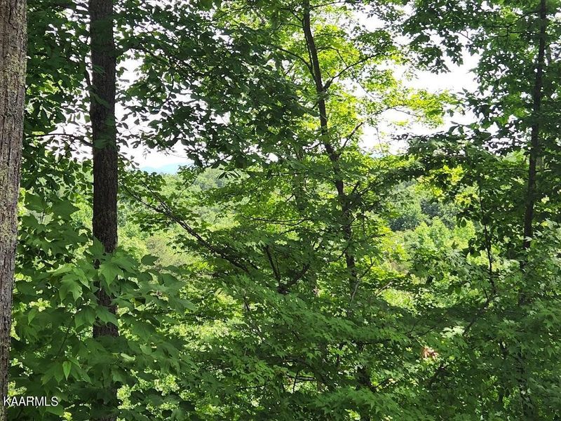 0 High View Ct Lot 601, Sevierville, TN 37876