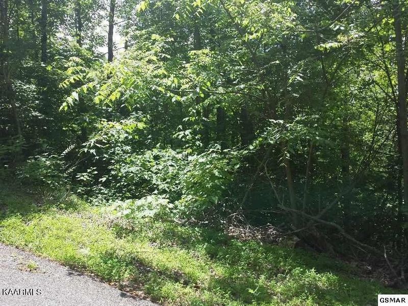 0 Buena Vista Dr Lot 4, Sevierville, TN 37876