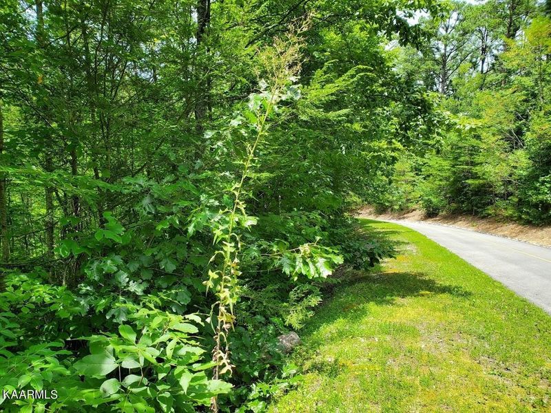 0 Rocking Chair Ln Lot 131, Sevierville, TN 37862