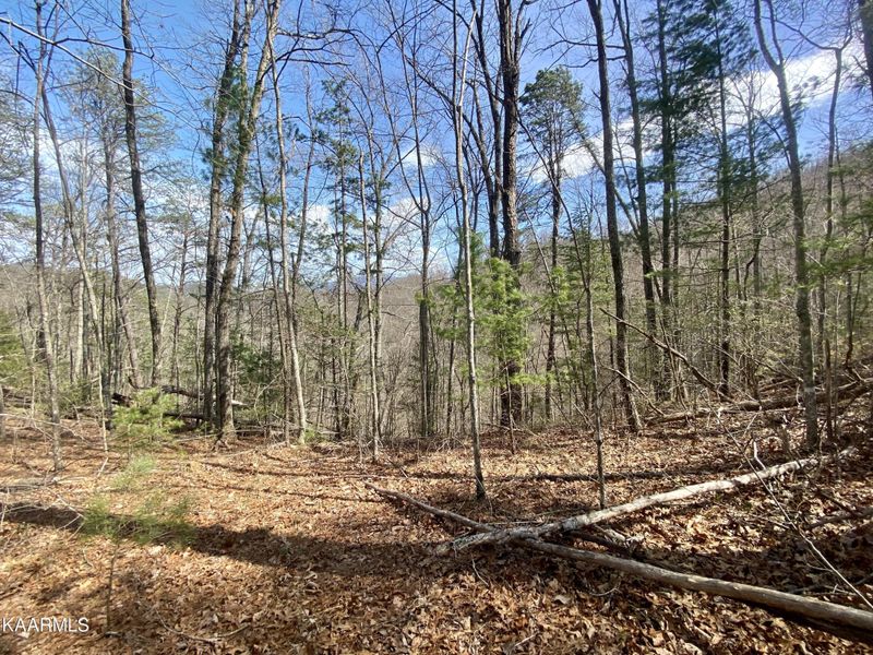 0 Whetstone Rd Lot 80, Sevierville, TN 37862