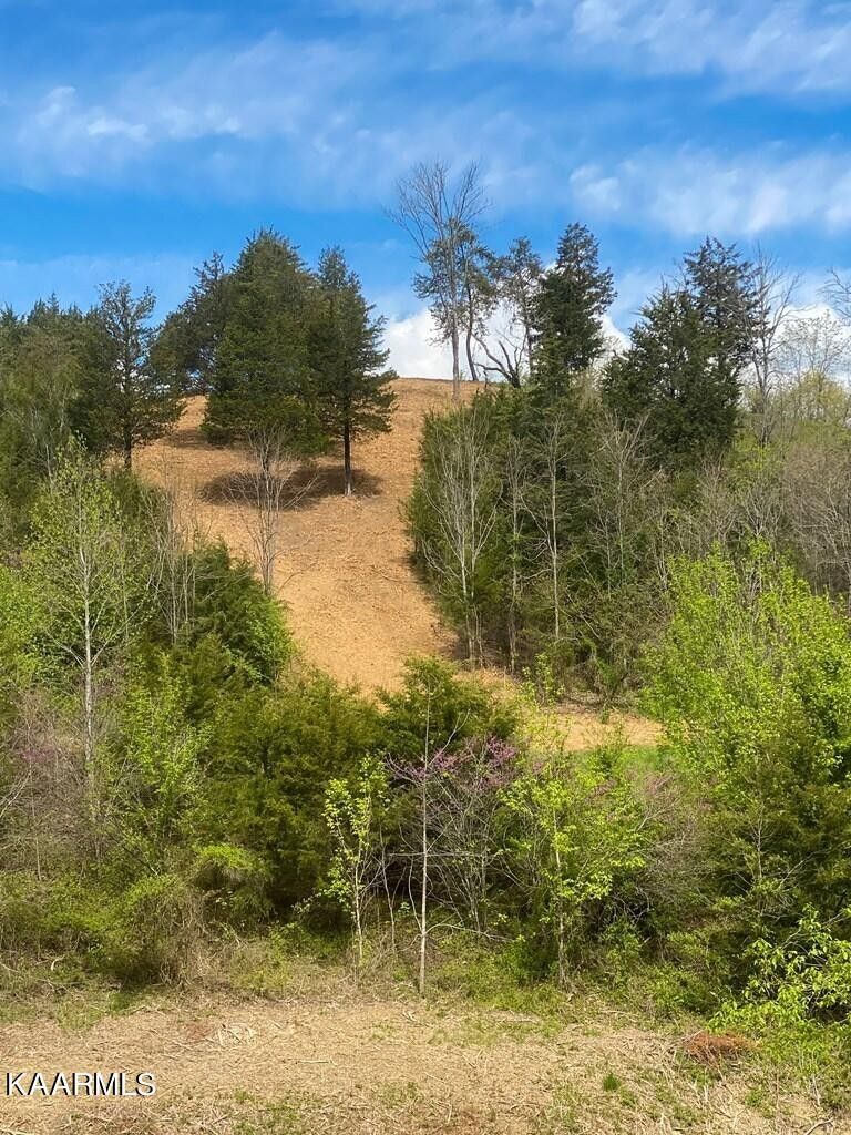 16 Harbor Point Dr, Sevierville, TN 37876