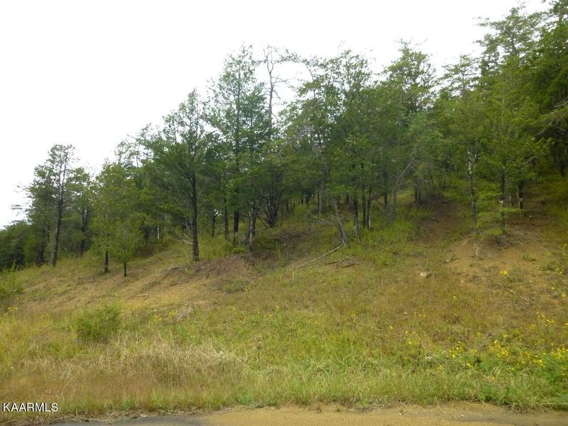 72 Grande Vista Dr Lot 72, Sevierville, TN 37876
