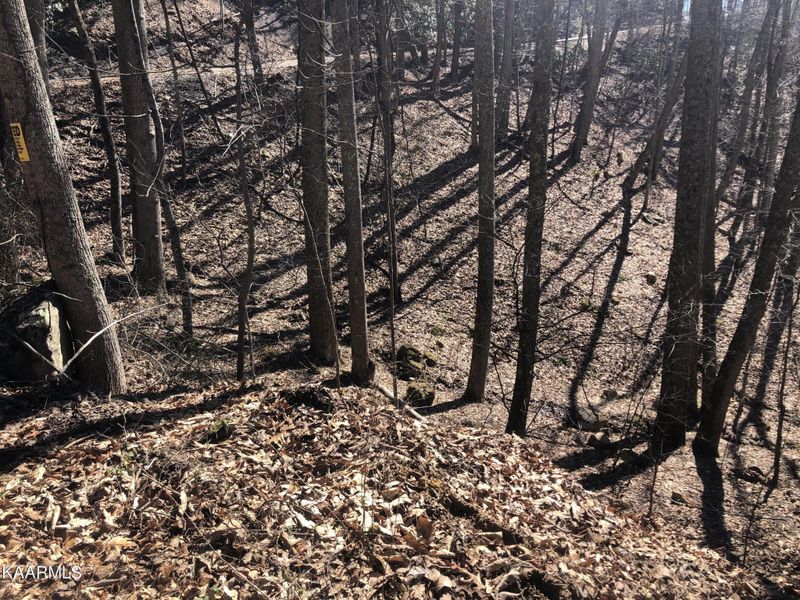 13 Alpine Dr Lot 13, Sevierville, TN 37876