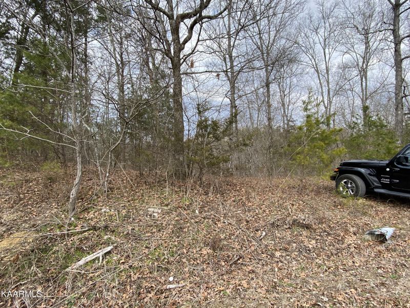 0 Pleasure Rd Lot 012, Sevierville, TN 37876