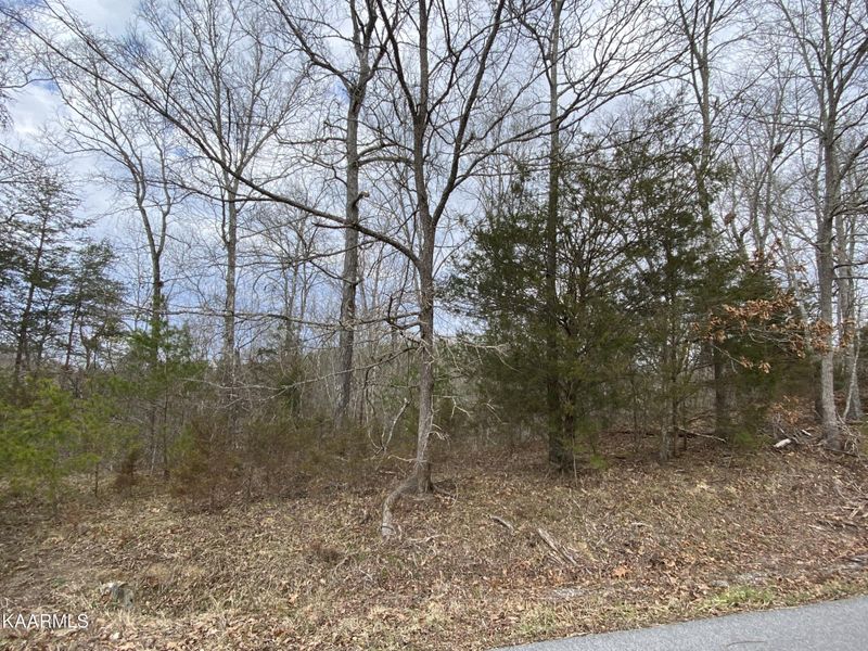 0 Pleasure Rd Lot 012, Sevierville, TN 37876