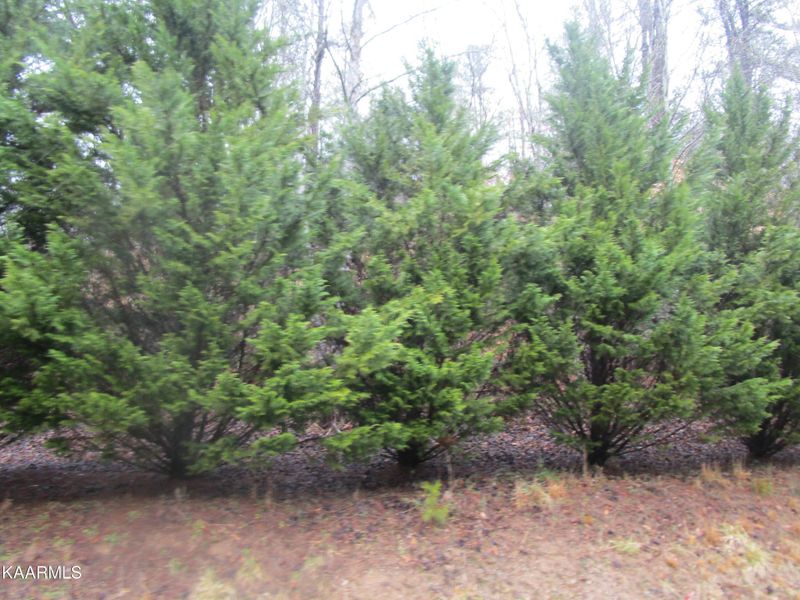1 Jones Cove Rd Lot 3, Sevierville, TN 37862