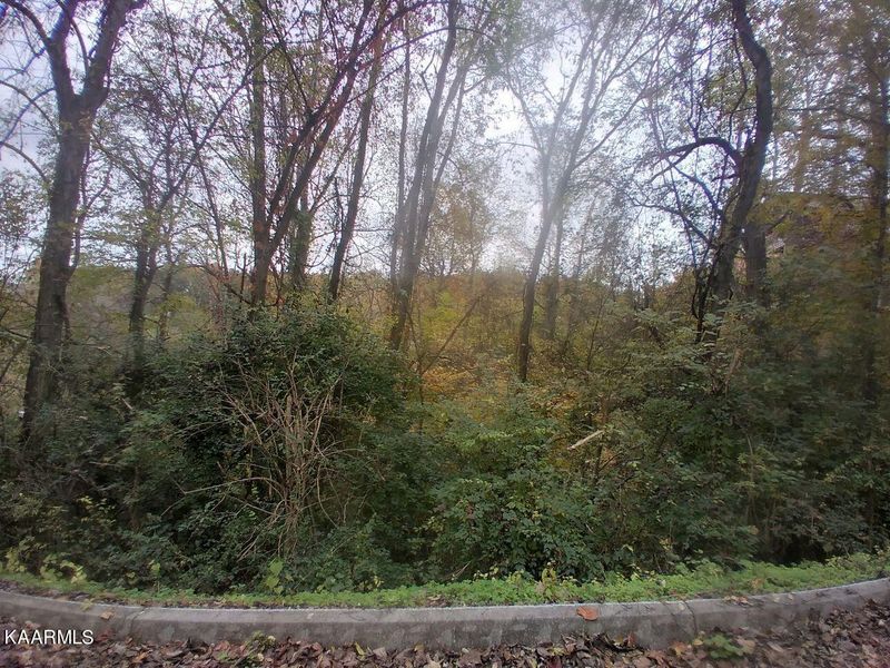 0 Hideaway Ridge Cir Lot 34, Sevierville, TN 37862
