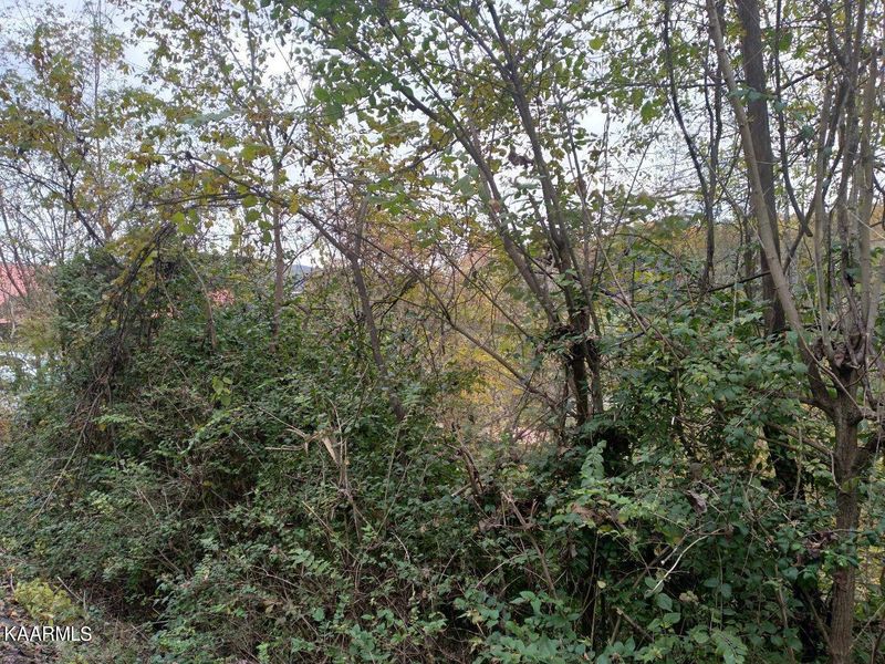 0 Hideaway Ridge Cir Lot 34, Sevierville, TN 37862