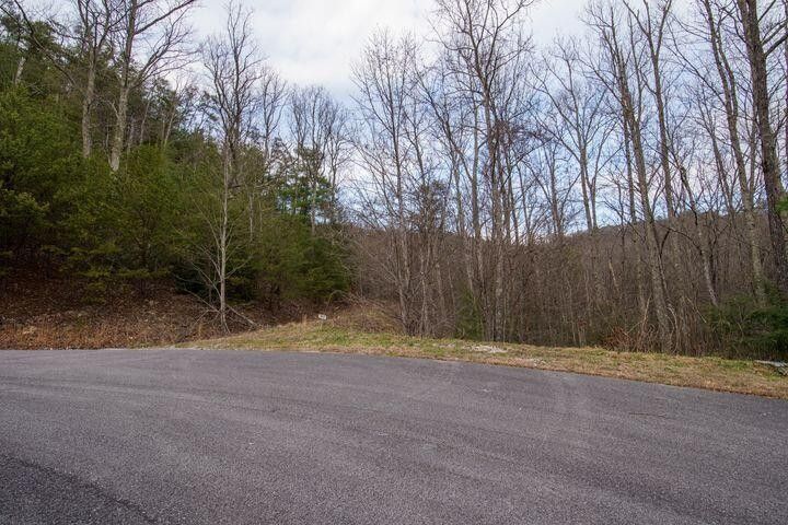 0 Jones Creek Ln Lot 169E, Sevierville, TN 37862