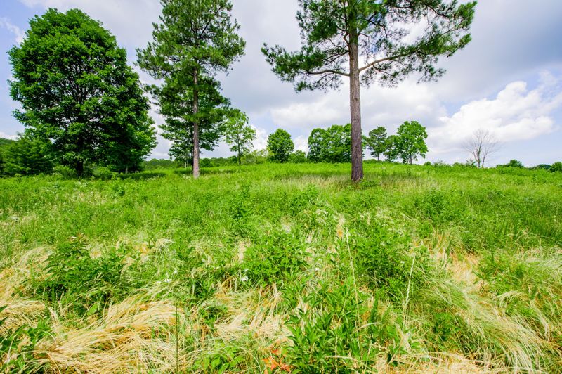105 Huckleberry Cir Lot 278, Loudon, TN 37774