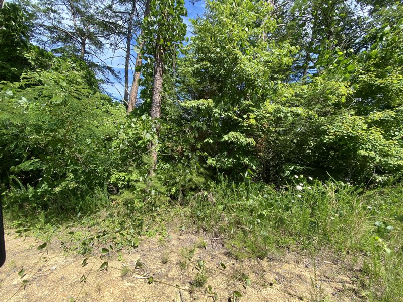 0 Buttonwood Dr Lot 57, Sevierville, TN 37876