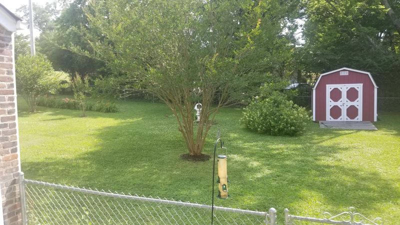 3415 Ne Belleview Rd, Knoxville, TN 37917