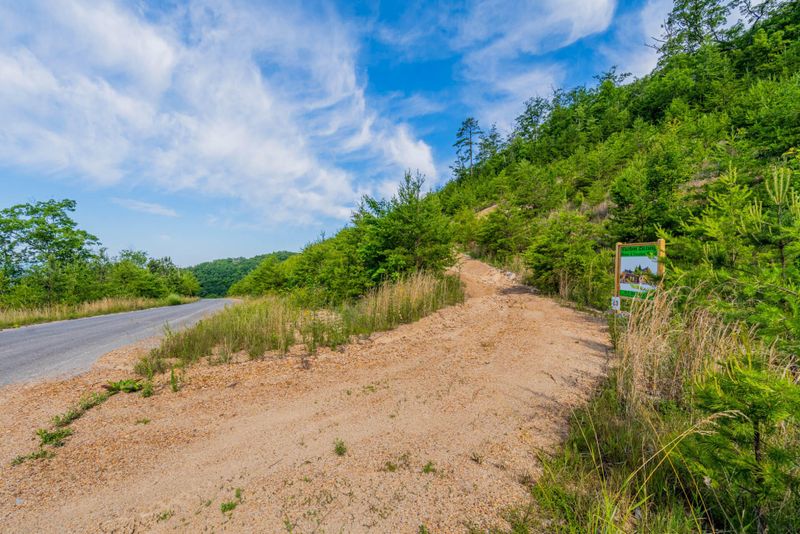 0 Mountain Ash Way Lot 61, Sevierville, TN 37876