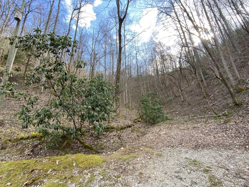 0 S Clear Fork Rd Off Rd Lot 23, Sevierville, TN 37862