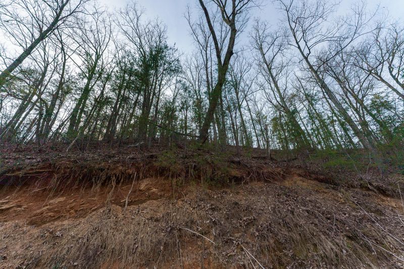 0 Wilson Hollow Way Lot 9, Sevierville, TN 37876