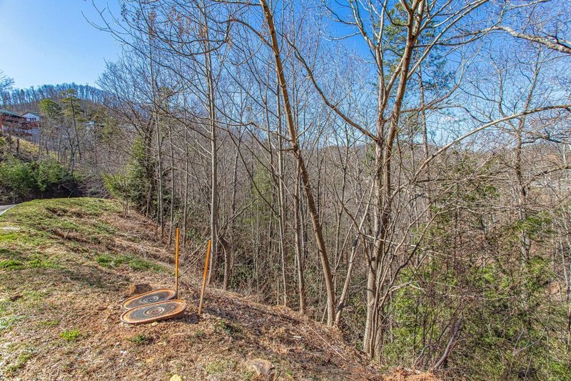 63 Smoky Ridge Way, Sevierville, TN 37862
