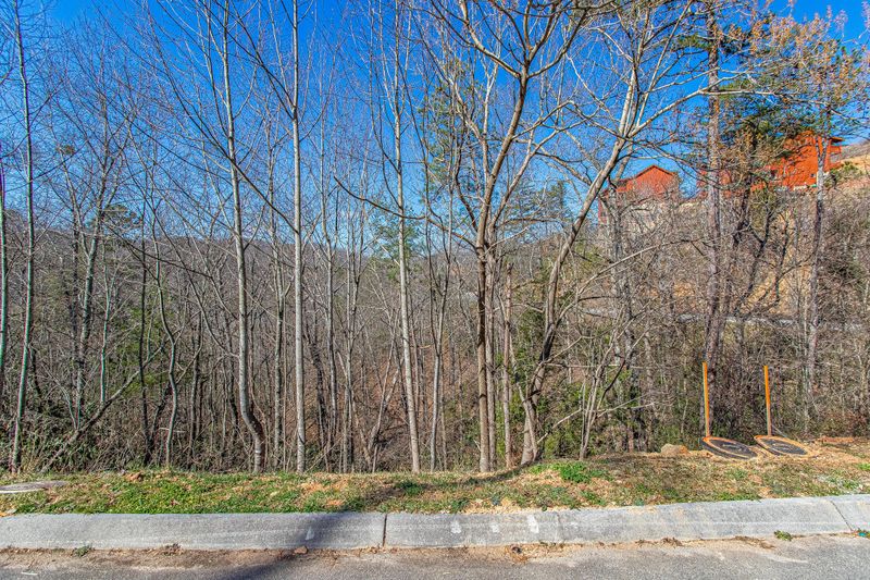 63 Smoky Ridge Way, Sevierville, TN 37862