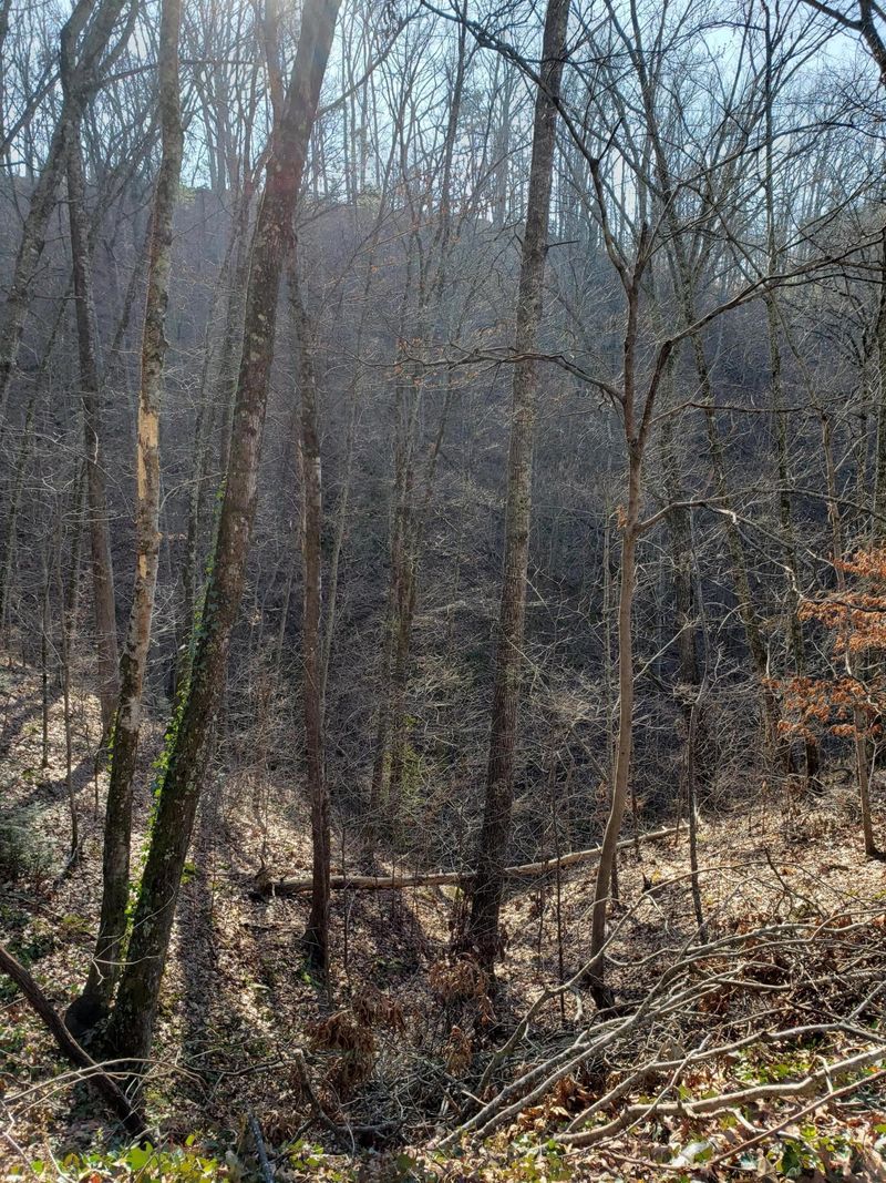 0 Ridgeland Cir Lot 4, Sevierville, TN 37862