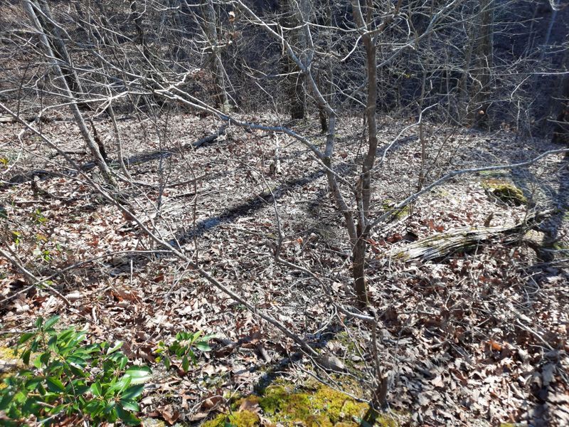0 Ridgeland Cir Lot 4, Sevierville, TN 37862