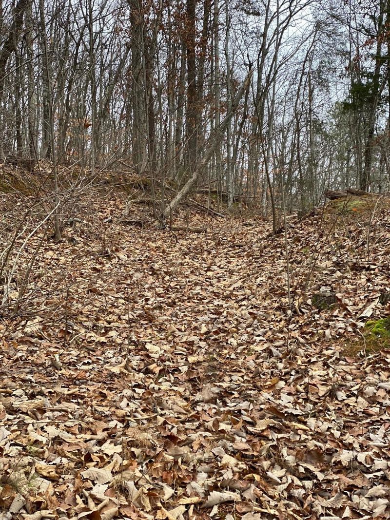 6801 Langston Dr Lot 6, Knoxville, TN 37918