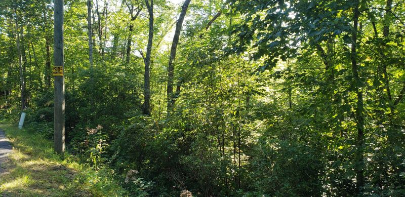 0 Beach Front Dr Lot 1473, Sevierville, TN 37876