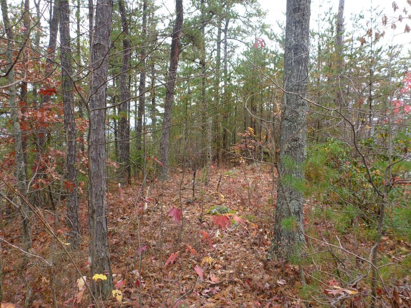 34 High Ridge Way Lot 3 & 4, Sevierville, TN 37862