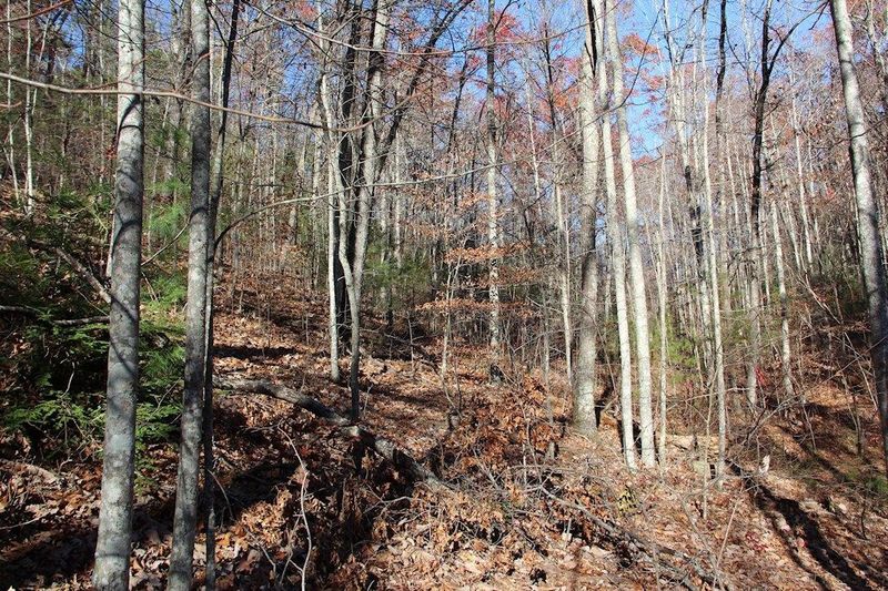 0 Lot 29e Cool Water Ln Lot 29E, Sevierville, TN 37862