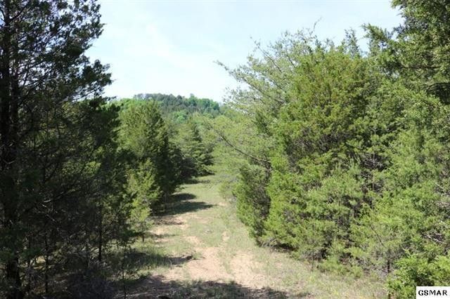 35 Buck Horn Rd, Sevierville, TN 37876