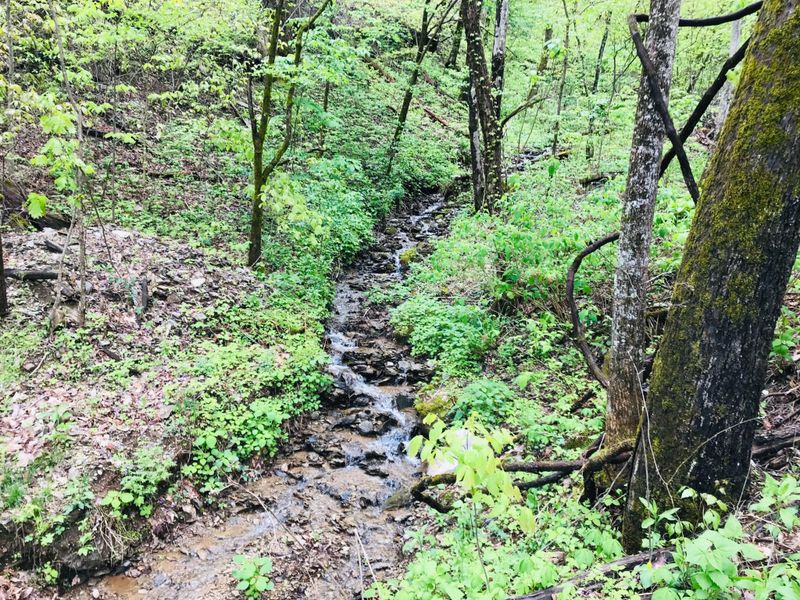 0 Wolf Way Lot 026, Sevierville, TN 37862