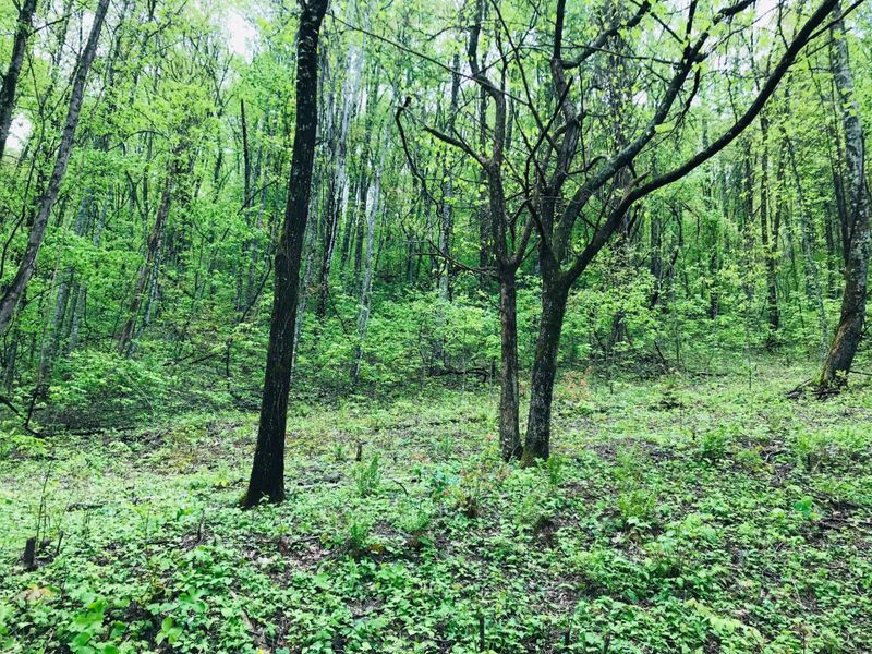 0 Wolf Way Lot 026, Sevierville, TN 37862