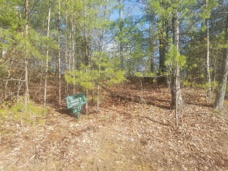 0 Whetstone Rd Lot 79, Sevierville, TN 37862