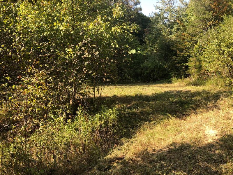 602 Cedar Top Dr Lot TR-2, Sevierville, TN 37876