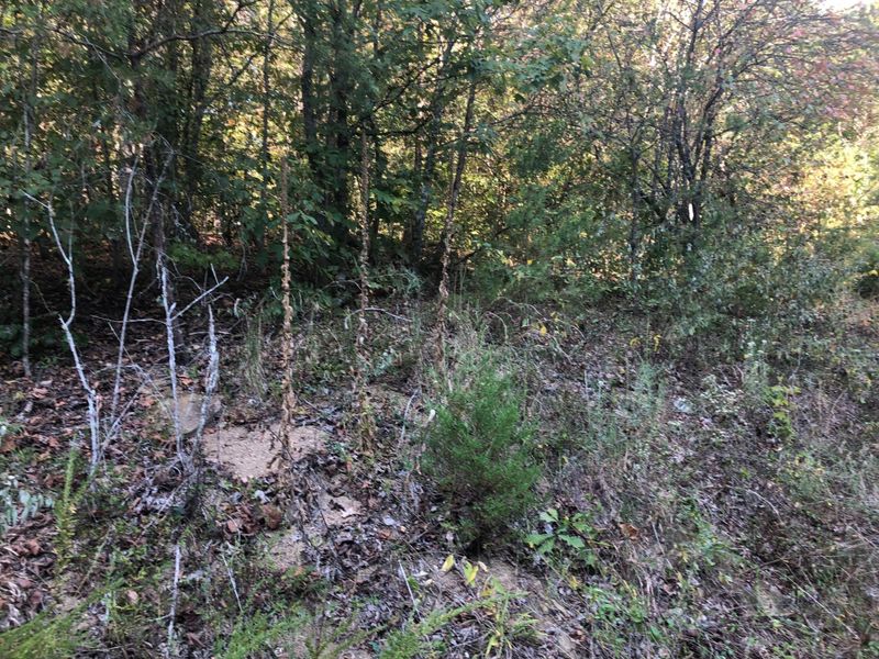 602 Cedar Top Dr Lot TR-2, Sevierville, TN 37876