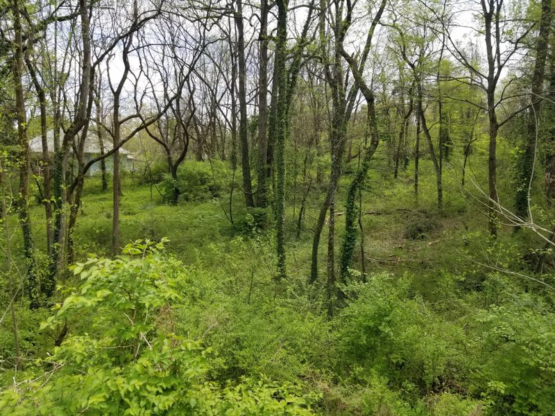 9713 Dutchtown Rd, Knoxville, TN 37923