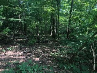 154 Kawga Way Lot 15, Loudon, TN 37774