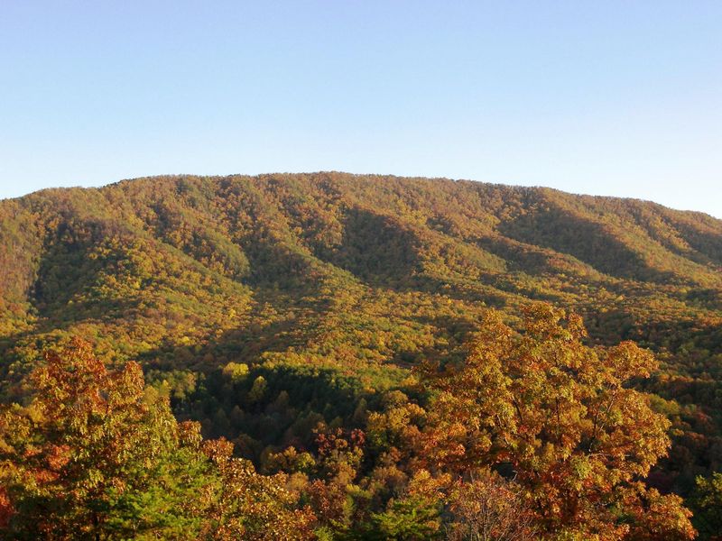 5041 Allegheny Cove Way Lot 23br, Maryville, TN 37803