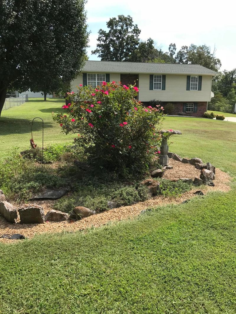 2528 Norris Ln, Knoxville, TN 37924
