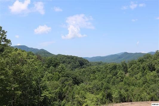 38 Coopers Hawk Way, Sevierville, TN 37862