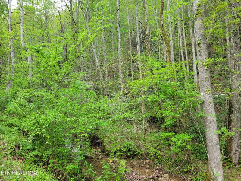 45 Alpine Dr, Sevierville, TN 37876