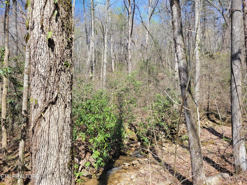 25 Alpine Dr Lot 25, Sevierville, TN 37876